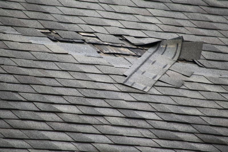 Damaged Shingle Identification